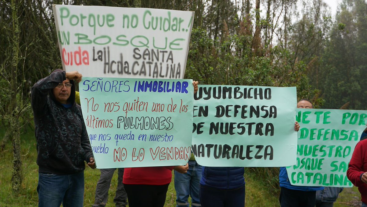 ecuainm_oficial's tweet photo. ‼️ URGENTE
Alcaldía de Mejía denuncia que INMOBILIAR habría vendido el Bosque Protector Santa Catalina. A pesar de ser declarada área protegida, "Ayllupura habría comprado 216 hectáreas de bosque a USD 1,6 millones, a INMOBILIAR", alertó. https://t.co/6NeQnMeRPf