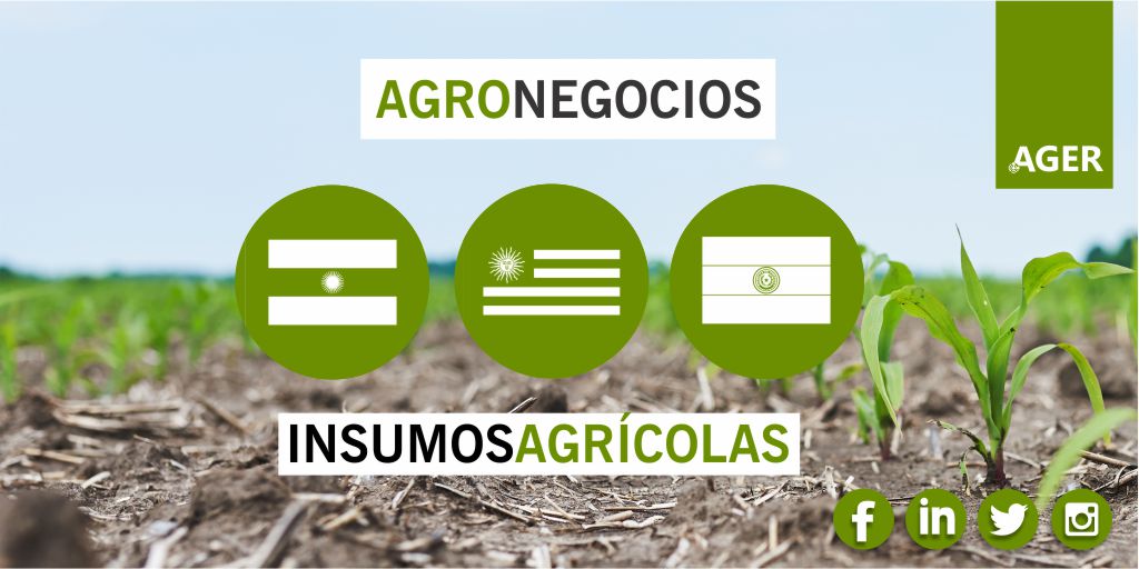 AgerAgro's tweet photo. #SinExAGERar 🇦🇷 🇵🇾 🇺🇾 Conectamos al sector agrícola latinoamericano a través de la comercialización de #InsumosAgrícolas. Porque junto con nuestros productos establecemos lazos de confianza y respeto con nuestros partners y clientes. Contáctanos. https://t.co/mtWOROZvE1
