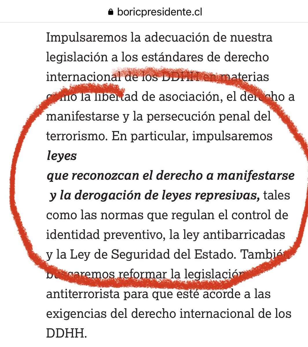Juan Francisco Galli tweet media