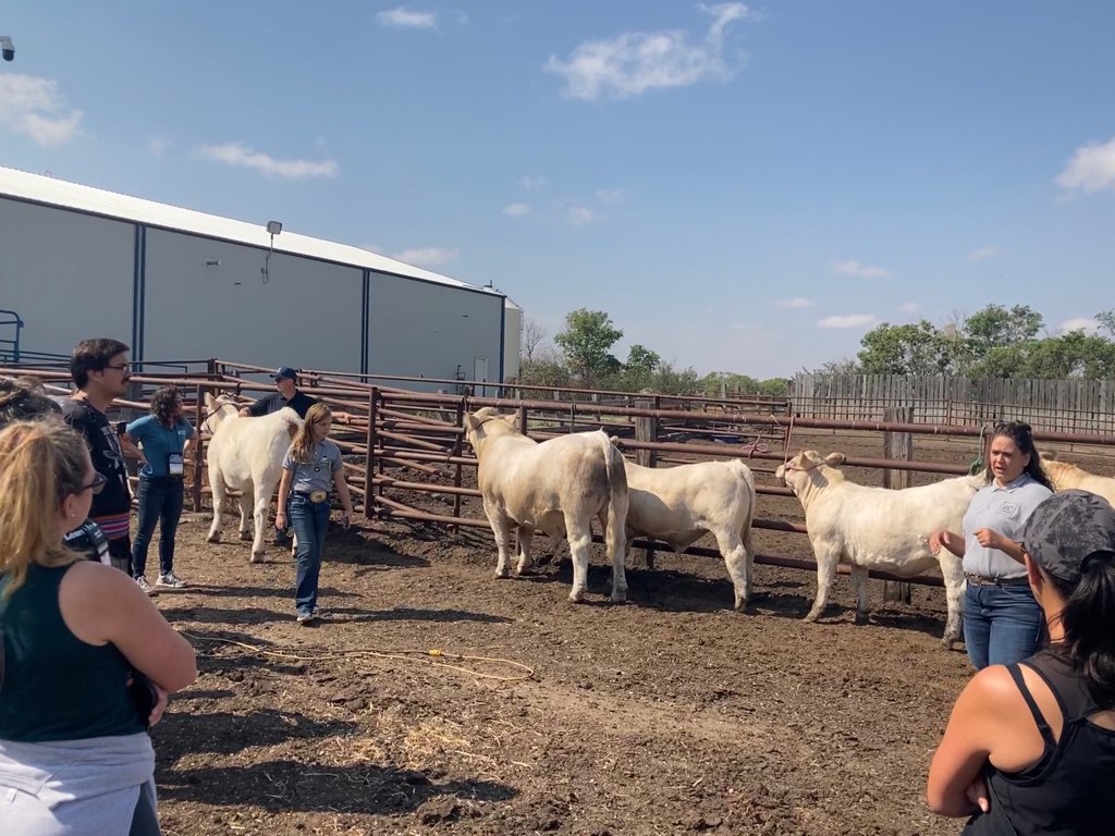 aitcsk's tweet photo. Our next teacher tour stop is @julieannehowe &amp; @kellyscotthowe mixed farm! They have 50 beehive colonies and they also raise purebred Charolais cattle. They calve 150 cows, and a new calf was just born two weeks ago! https://t.co/hKsmE9BitH
