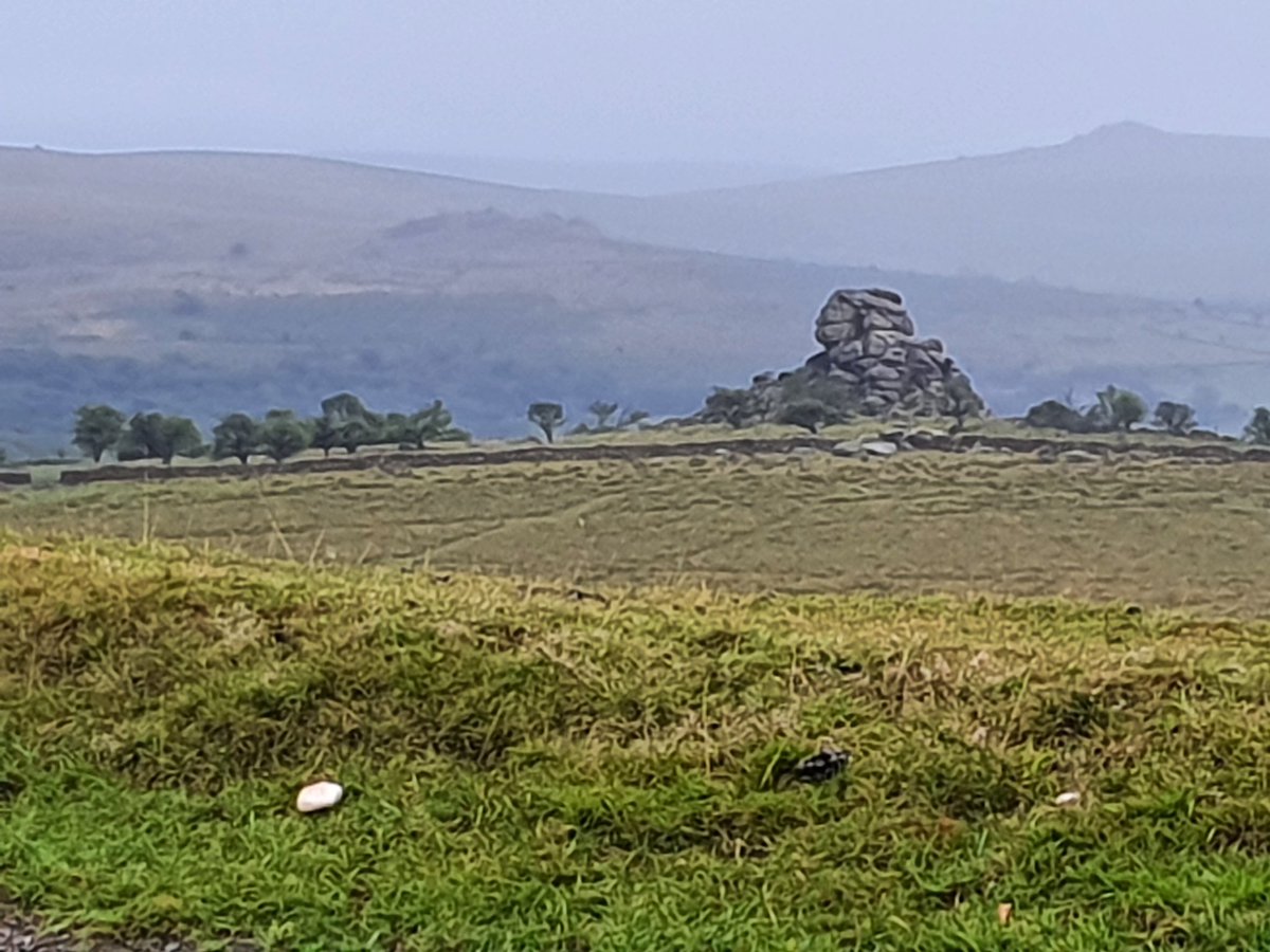 @DartmoorDevon #Dartmoor #Devon Misty August 2022 by @AHaglington