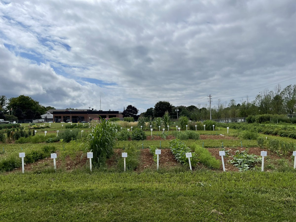 yunfeijiang1's tweet photo. Lots of great teaching resources for the fall semester at the Demon Garden! Thank you Mike and the crew! 🙏 @dalagriculture https://t.co/1XGiFIxpl3