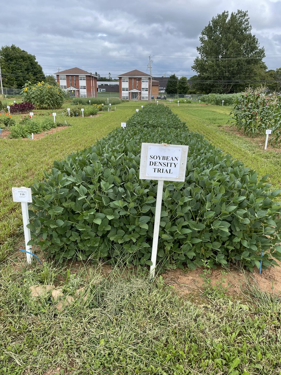 yunfeijiang1's tweet photo. Lots of great teaching resources for the fall semester at the Demon Garden! Thank you Mike and the crew! 🙏 @dalagriculture https://t.co/1XGiFIxpl3