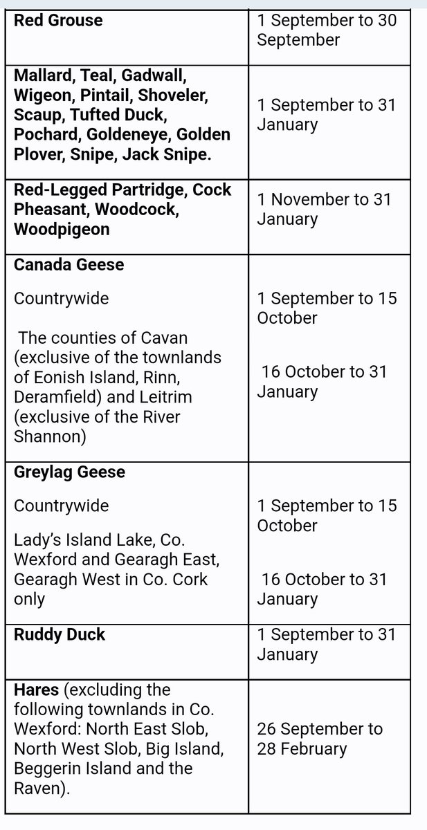 Irish Wildlife Trust tweet media