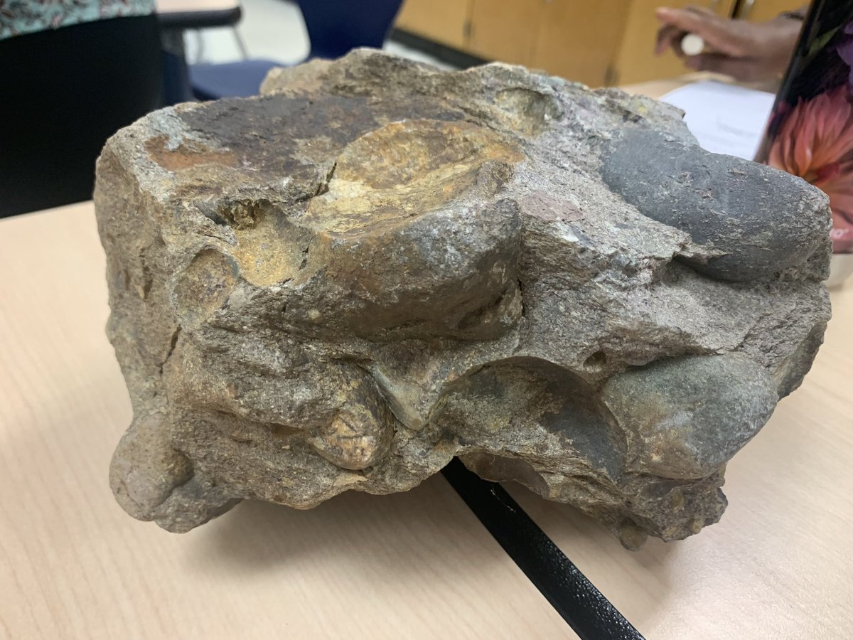 Holly Rosa tweet media