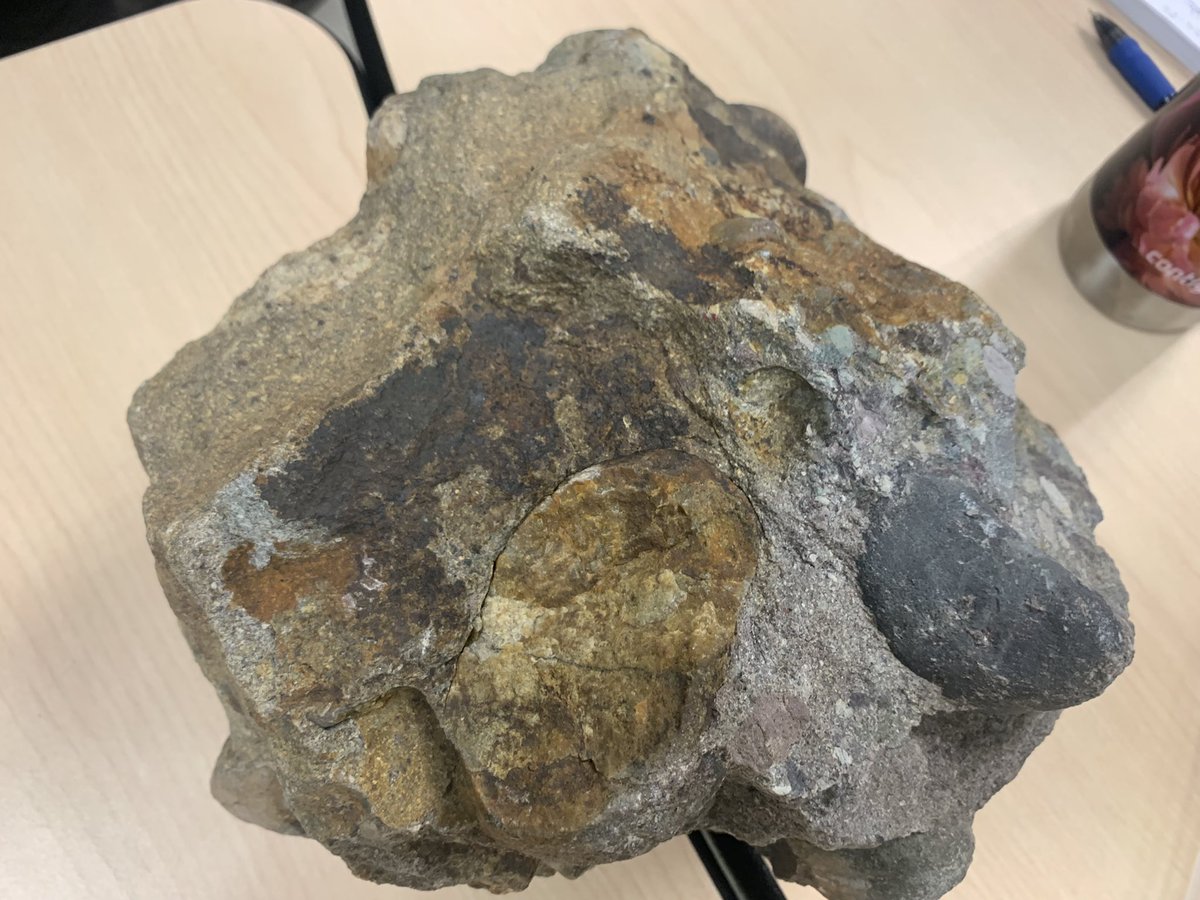 Holly Rosa tweet media