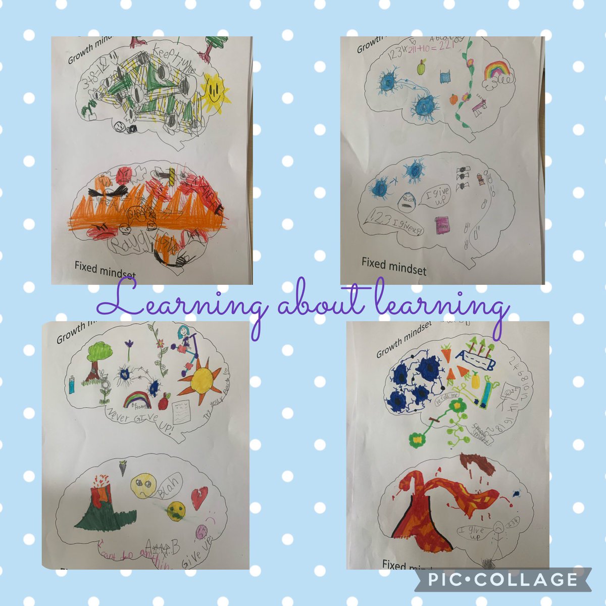 MrsBurton_RPS's tweet photo. Some of our final growth and fixed mindset brains! #learningaboutlearning @RoslinPS https://t.co/Ldpq2xqEAH