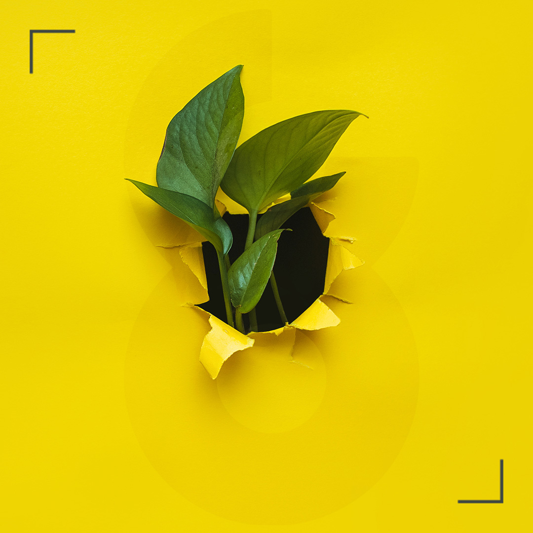 8thbrickgroup's tweet photo. No matter the industry, change is inevitable. 

How is your marketing going to adapt?

Let's grow together: https://t.co/lHnlm1CpTo https://t.co/OD4GasOvKT