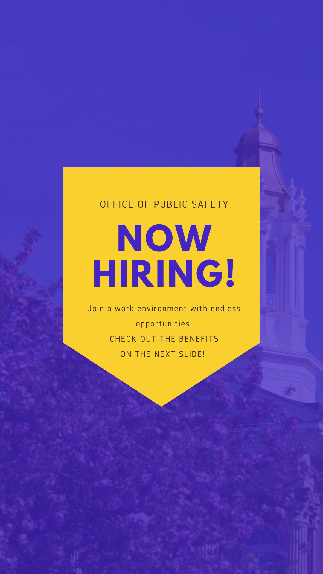 Western Illinois University on Twitter "It’s not too late to apply!!💜🐾