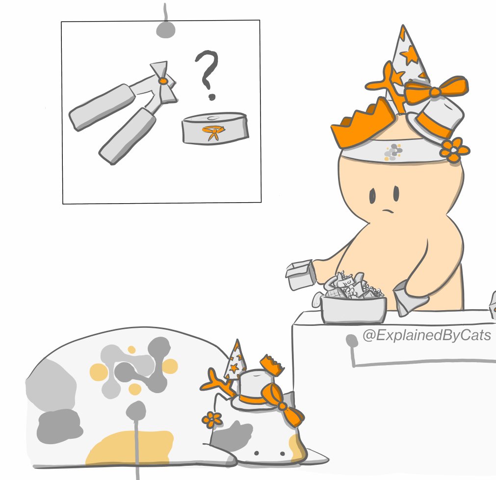 Fiona Naughton tweet media