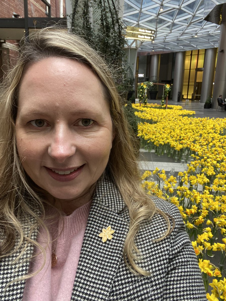 Gorgeous field of #daffodils for <a href="/CancerVic/">Cancer Council Victoria</a> in #melbourne today #daffodildayappeal