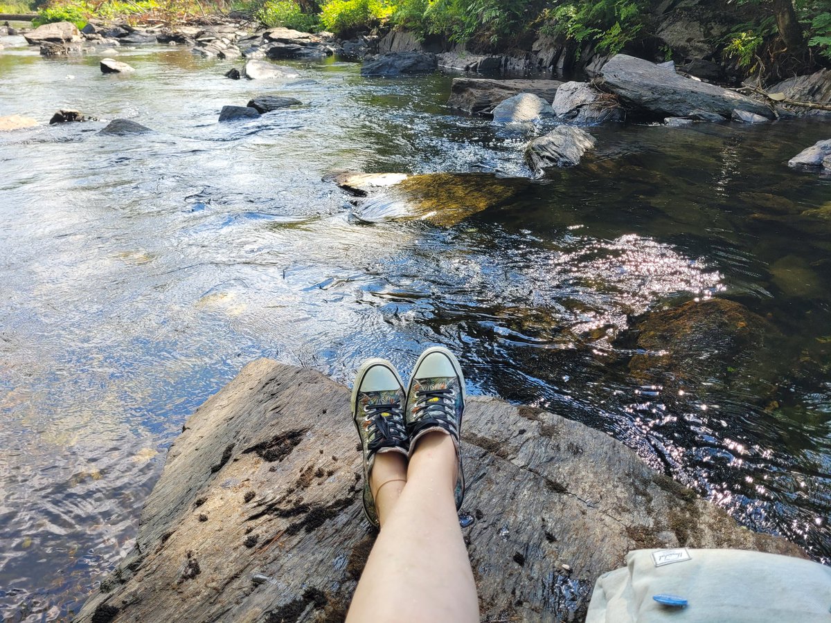 SheBearRawr's tweet photo. Perfect size private island. Only room for me and my dog.
*Dog not pictured... probably wouldn't stay on for more than 2 seconds anyway
#StillHigh #privateisland #nature #River #stoned #OldBroad https://t.co/sTOsI4tl24
