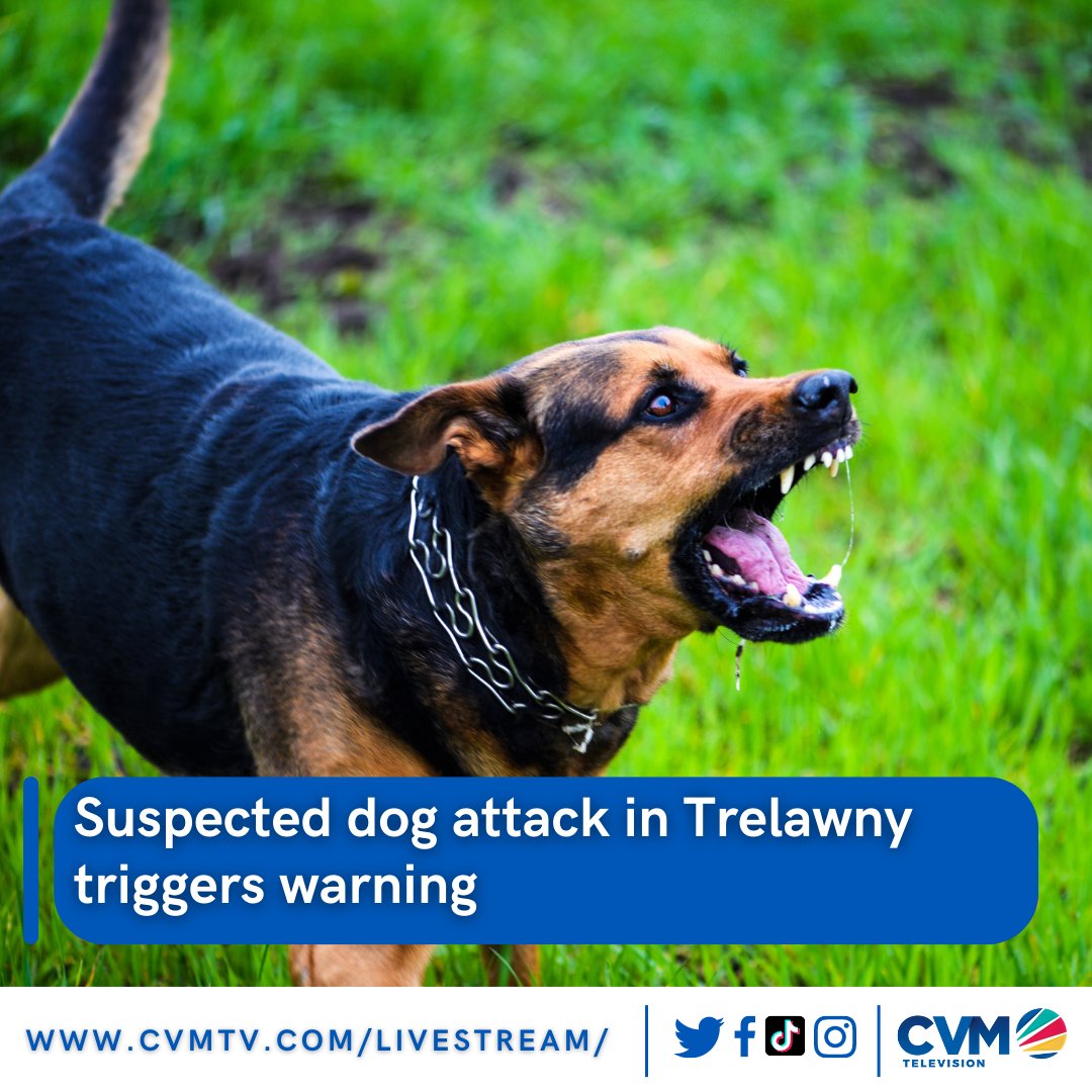 CVM Television tweet media