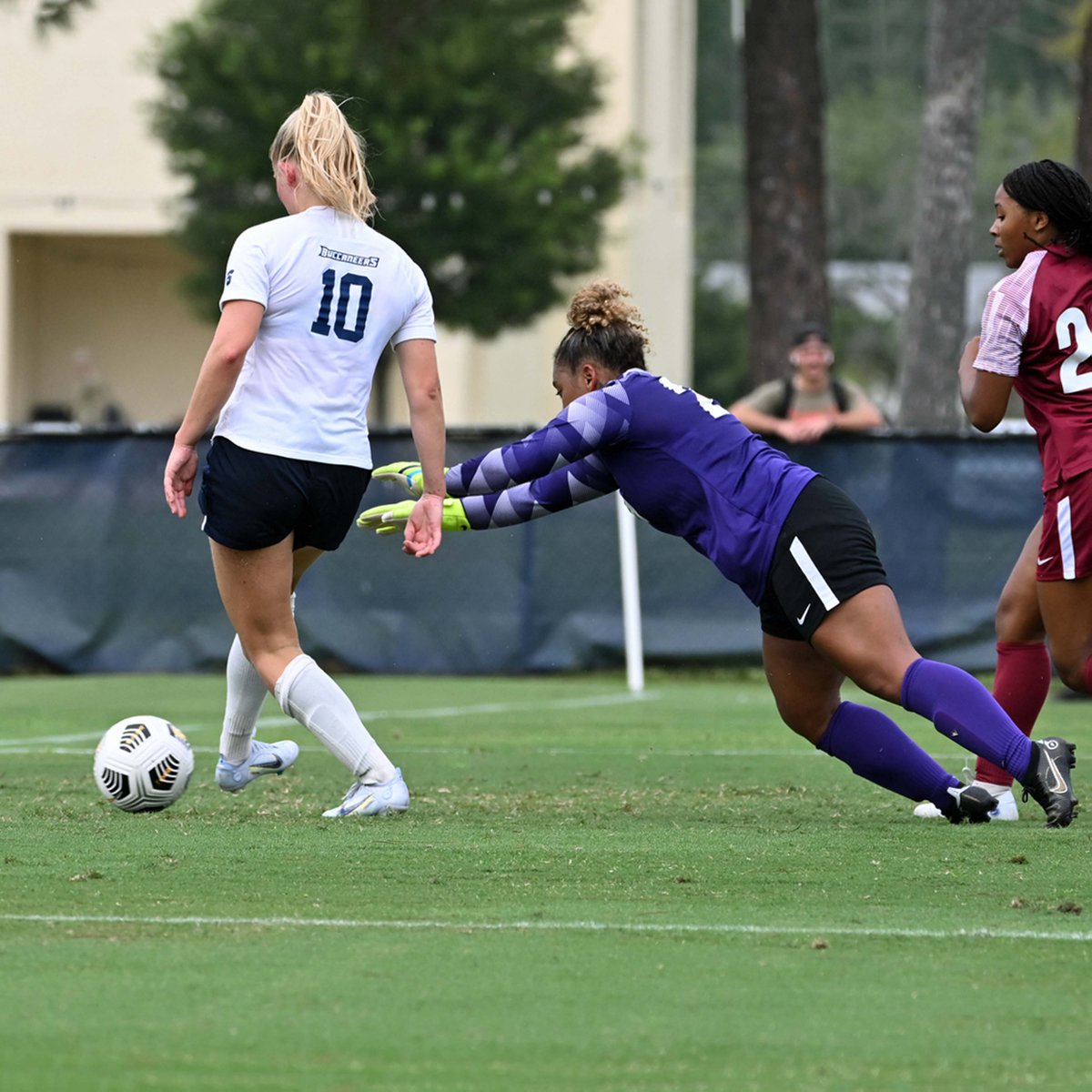 Nikon_Jim's tweet photo. @CSUWSOC over SCSU 6-0 https://t.co/snNlJS6bUL