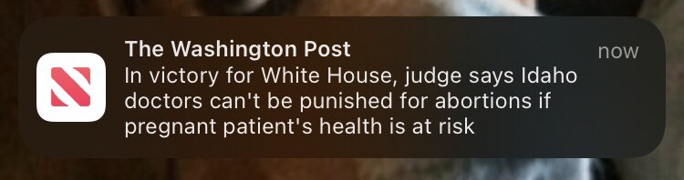 bubbaprog's tweet photo. It’s not a victory for “the White House.” It’s a victory for “women and those who don’t want women to die unnecessary deaths.” 

This sort of framing is how we got here in the first place. https://t.co/yhytUGFvE1