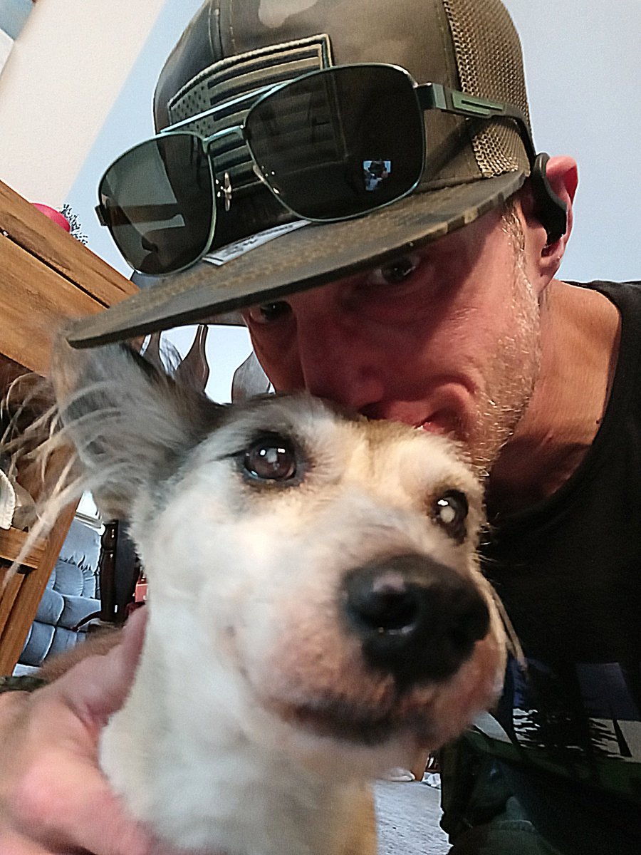 Dog House Alex tweet media