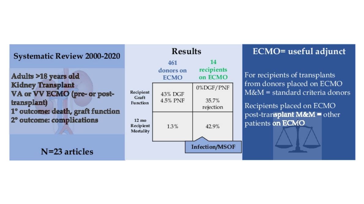 The role of #ECMO in adult #KidneyTransplant patients: A qualitative #SystematicReview of literature👇
bit.ly/3wplRXx
<a href="/UNC_SOM/">UNC School of Medicine</a> | <a href="/TristaReidMD/">Trista Reid</a> <a href="/IanKratzkeMD/">Ian Kratzke</a> <a href="/DianaDayal/">Diana Dayal</a> <a href="/DrPabloSerrano/">Pablo Serrano, MD, FACS</a> <a href="/_jrgallaher/">Jared Gallaher</a> #Mortality #Recipient