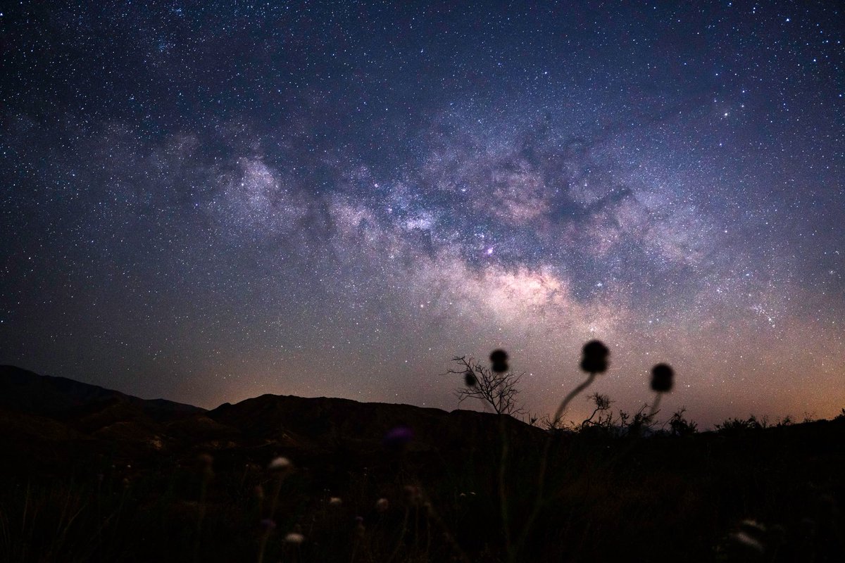 Prestons_Astro's tweet photo. Hey everyone! Sorry it’s been a few days since I’ve made a post. I recently got back into school as well as just started a new job so it’s been a bit hectic. Check out this awesomeness from back in spring! Milk-way above wildflowers! #Milkyway #Astronomy #Astrophotography #Stars https://t.co/gT4y18oW3D