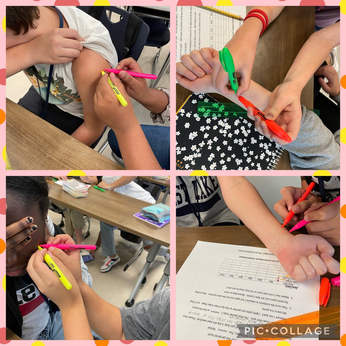 MsStewart_WLMS's tweet photo. Learning about the “Skin”tegumentary System @WL_LovesScience @HumbleISD_WLMS https://t.co/hrNgybKOby
