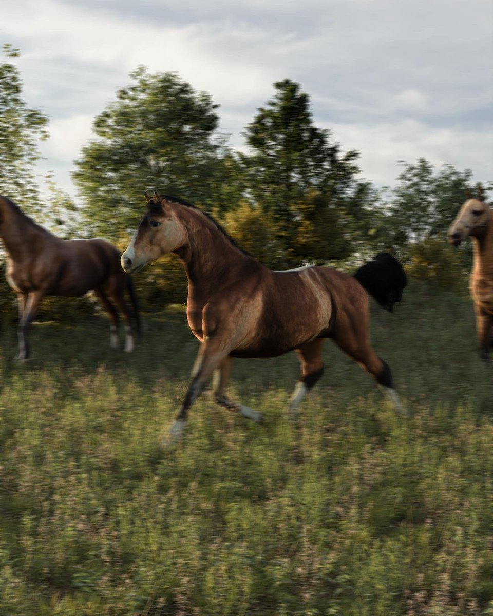 arqazo's tweet photo. 2d horse image to 3d horse model test

#3d #3dart #render #blender #cycles #art https://t.co/vUrLoepZkB