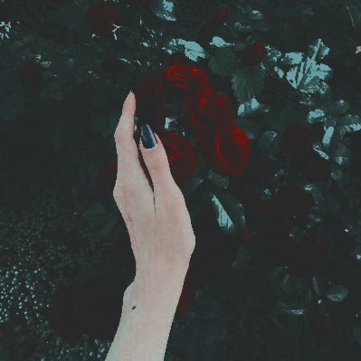 FEMMENACANTE's tweet photo. ᅠ 
ᅠ 
like this tweet to receive a starter of varying length.  retweet if you'd wish to plot first.  reserved for mutuals. 
ᅠ 
ᅠ https://t.co/KGVPbNWCx2