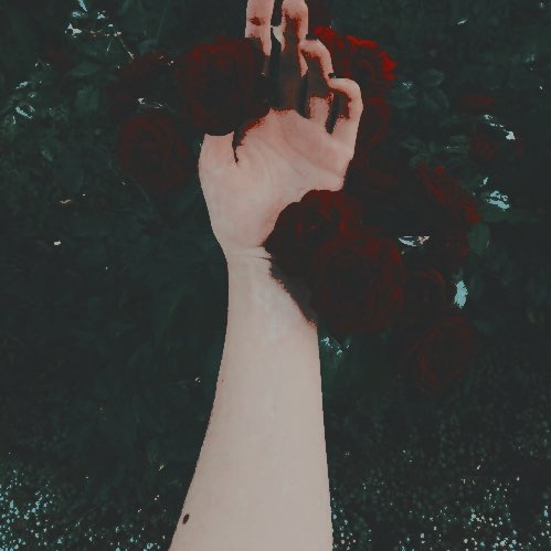 FEMMENACANTE's tweet photo. ᅠ 
ᅠ 
like this tweet to receive a starter of varying length.  retweet if you'd wish to plot first.  reserved for mutuals. 
ᅠ 
ᅠ https://t.co/KGVPbNWCx2