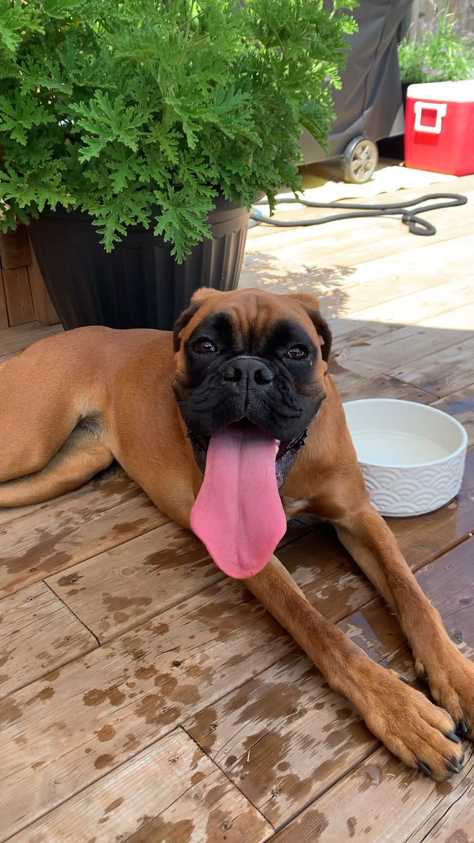 Kim Allen tweet media