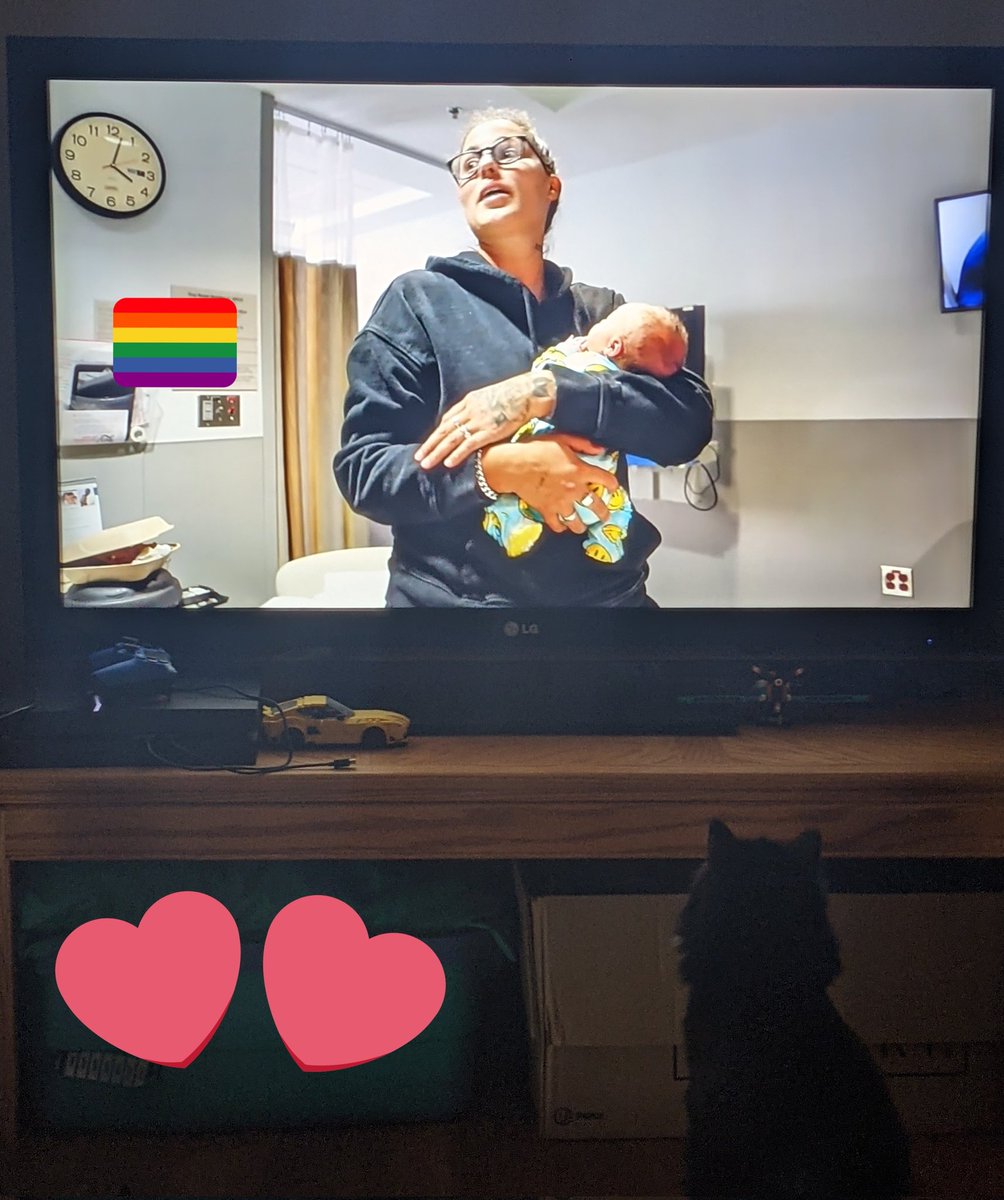 92chels_ldp's tweet photo. @myabysslife @AlyssaMDarling 

Got home after running errands. Decided to watch the new YouTube video. The second Wilder started to cry my cat was so concerned... Congratulations Such a beautiful family ❤️🏳️‍🌈 https://t.co/6b3jhv76nD