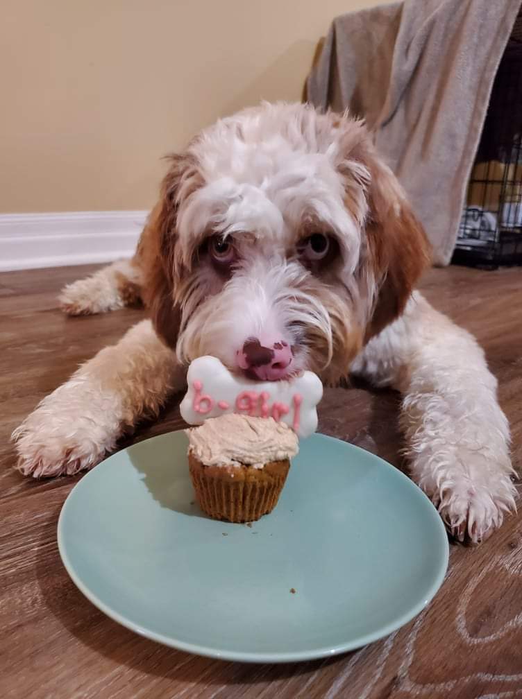 sandi oliver tweet media