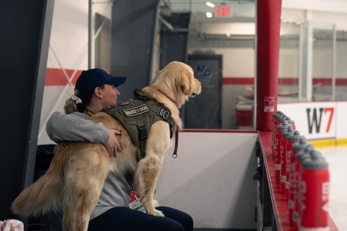 paraicehockey's tweet photo. 🔎 Our supervisor for the first day of practice in Green Bay. 🐕‍🦺

📸 Charlie Skinner/WPIH 

#WomensWorldChallenge | #ParaIceHockey | @citi | @ParaSport https://t.co/BauuHuAgua