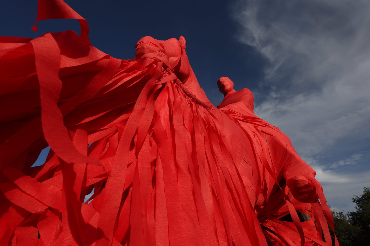 Texas Tech University tweet media