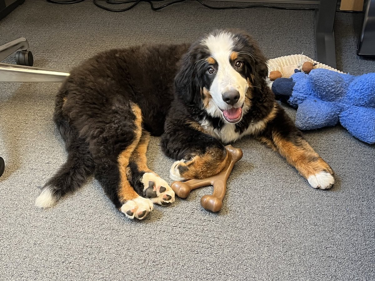 Emily Davidson tweet media