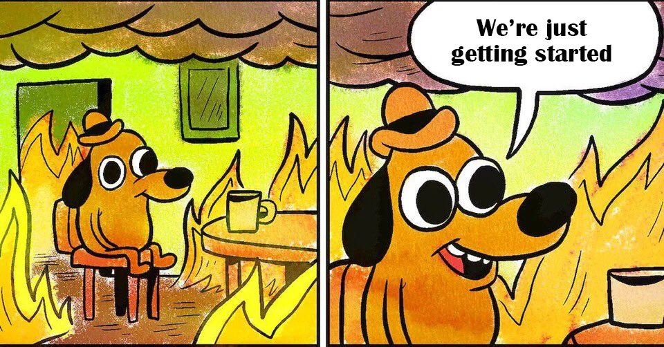 agazdecki's tweet photo. Every single day at a startup. https://t.co/7YYXVjznM2