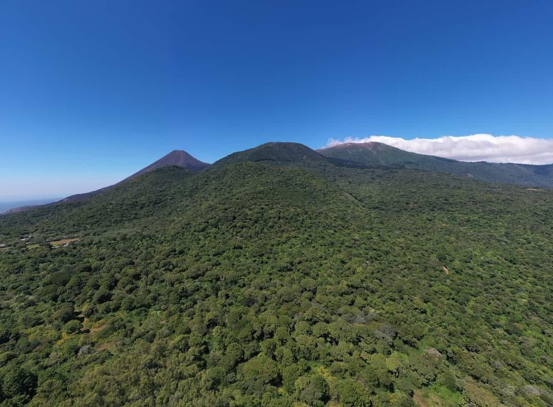 MedioAmbienteSV's tweet photo. ¿Sabes cuál es la primer y la última  Área Natural Protegida declarada en  El Salvador? 🤔

Aquí te lo contamos, abrimos hilo. 🧵👀 https://t.co/ZwbUq166Q0