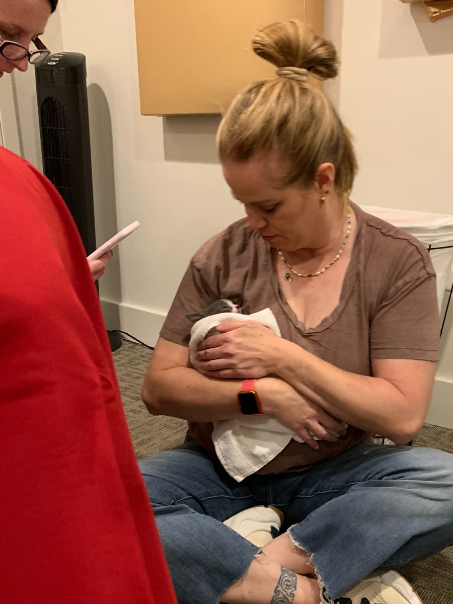 VytalBodyworks's tweet photo. Look at what the ladies saved today!
This sweet tiny kitten was found inside the tire of our client's car! luckily we were able to get her out!
Good job ladies! Have a wonderful day!
#ict #wichita #kansas #love #savinganimals #greatday #saving #cute #KittensOfTwitter https://t.co/kgmKif1owy
