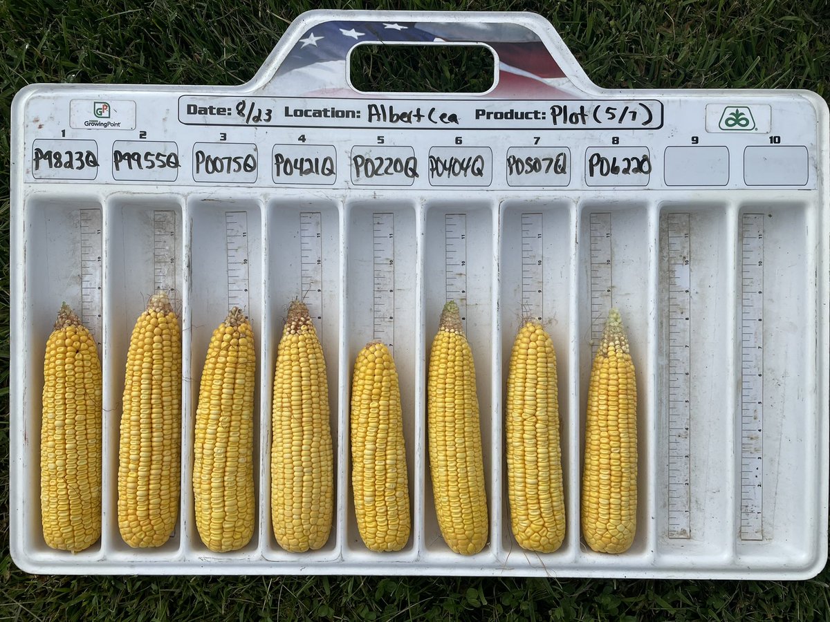 Ashley Storby tweet media