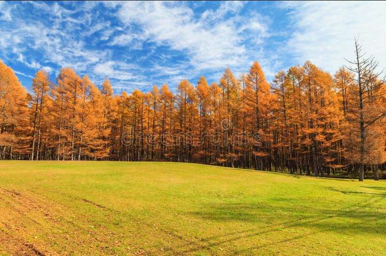 GKTT9iumTjdTnjp's tweet photo. ＜日本の秋の風景－４＞
もう少しで、秋の季節です。
紅葉がまちきれなぁーいぃ！
ような、画像ですよっ。
秋の風景は、これで、終わりです。 https://t.co/0dwqGS9LOu