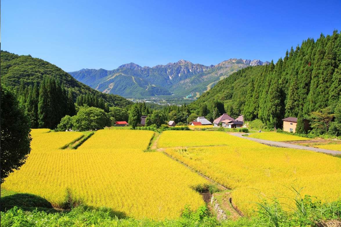 GKTT9iumTjdTnjp's tweet photo. ＜日本の秋の風景－４＞
もう少しで、秋の季節です。
紅葉がまちきれなぁーいぃ！
ような、画像ですよっ。
秋の風景は、これで、終わりです。 https://t.co/0dwqGS9LOu