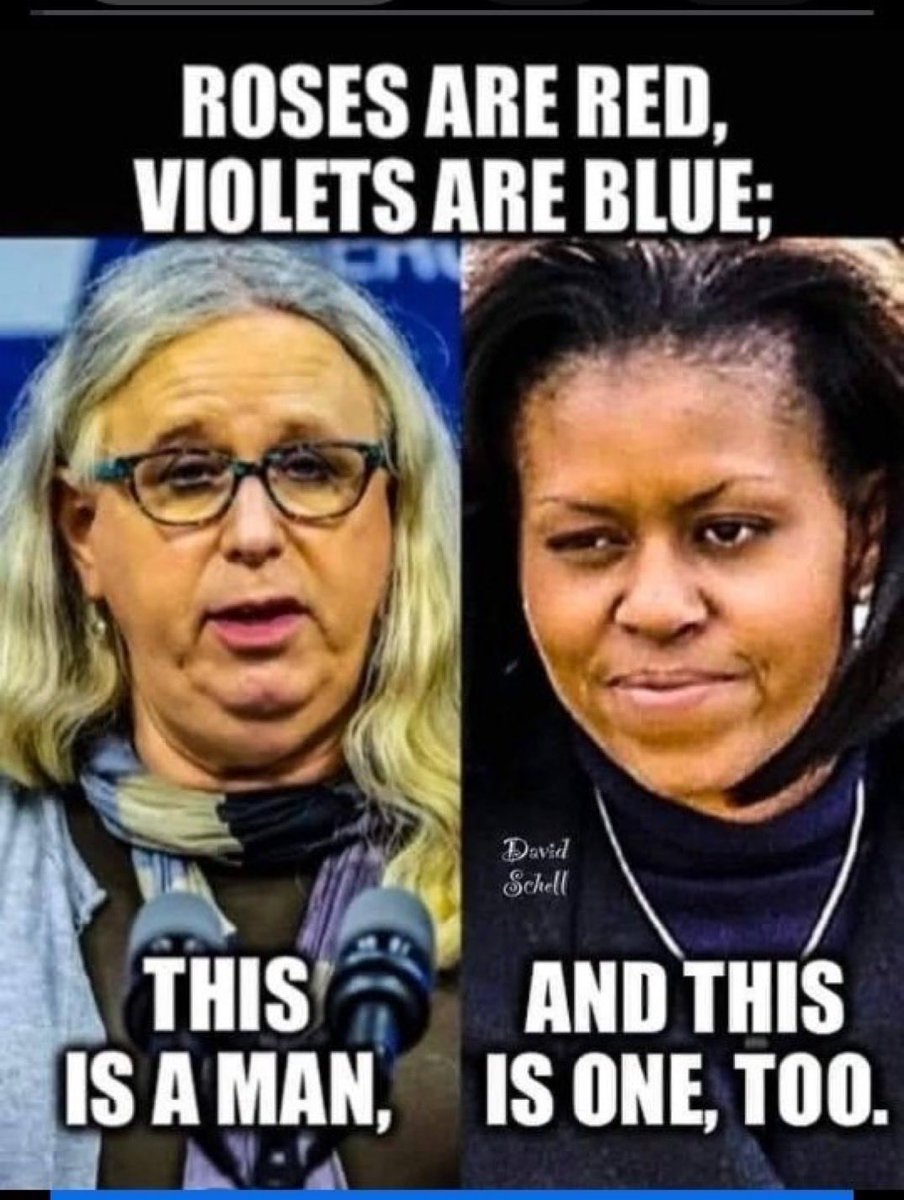 Nut-Meg 🎨 tweet media