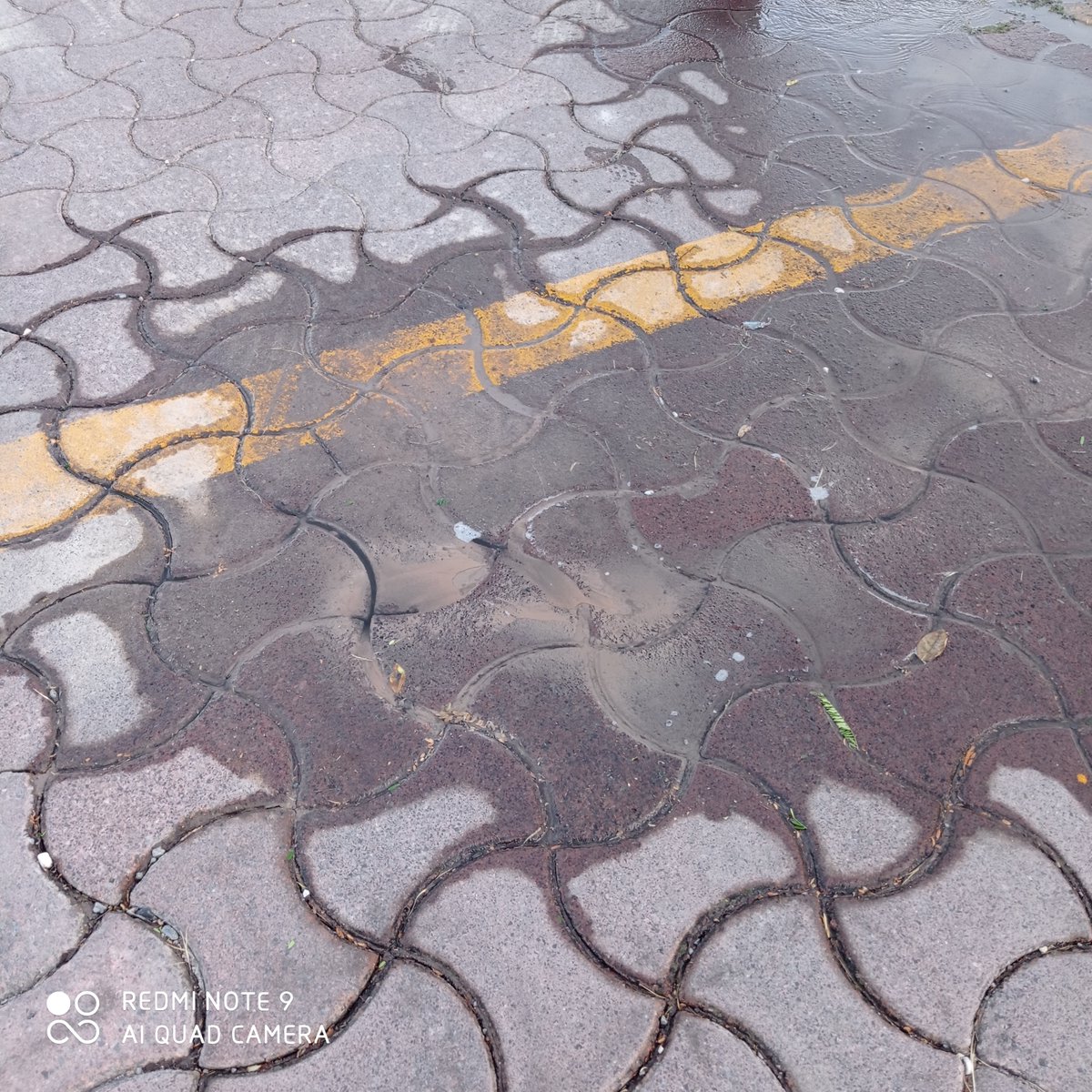 erarodo's tweet photo. @CEAservcliente @cea_qro Que tal. Les reporto una fuga de agua en la Col. Las Trojes. en la intersección de las calles https://t.co/RNVd2JOLaL la Hacienda la Pirámide y Cerro Viejo. Corregidora, Qro. https://t.co/5h3QvseOPw https://t.co/xTeIgQU3jG