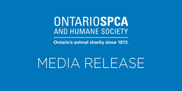 OntarioSPCA's tweet photo. Athletes, weekend warriors and animal lovers are invited to take part in the Ontario SPCA’s #SweatforPets Charleston Lake Challenge #triathlon on Aug. 28 to change the lives of vulnerable animals. Register today at https://t.co/YkHQo9EF3Z
@TriOntario @TriathlonCanada https://t.co/TZtNuJSI4Y