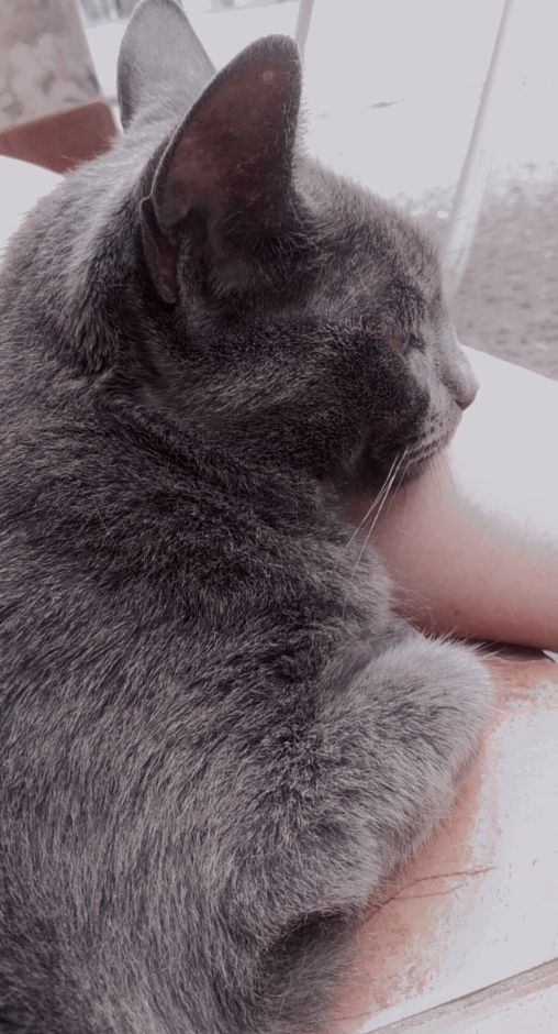 Manucrbll's tweet photo. Mi vida por la gorda

La gorda: https://t.co/9FLWiVm8xr