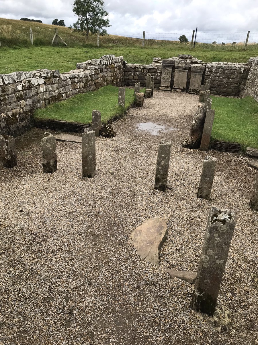 4Robin17's tweet photo. Half way! ππ@Willow_Fdn #4Robin #30challenges #HadriansWall #sycamoregap https://t.co/CNMz65KszC