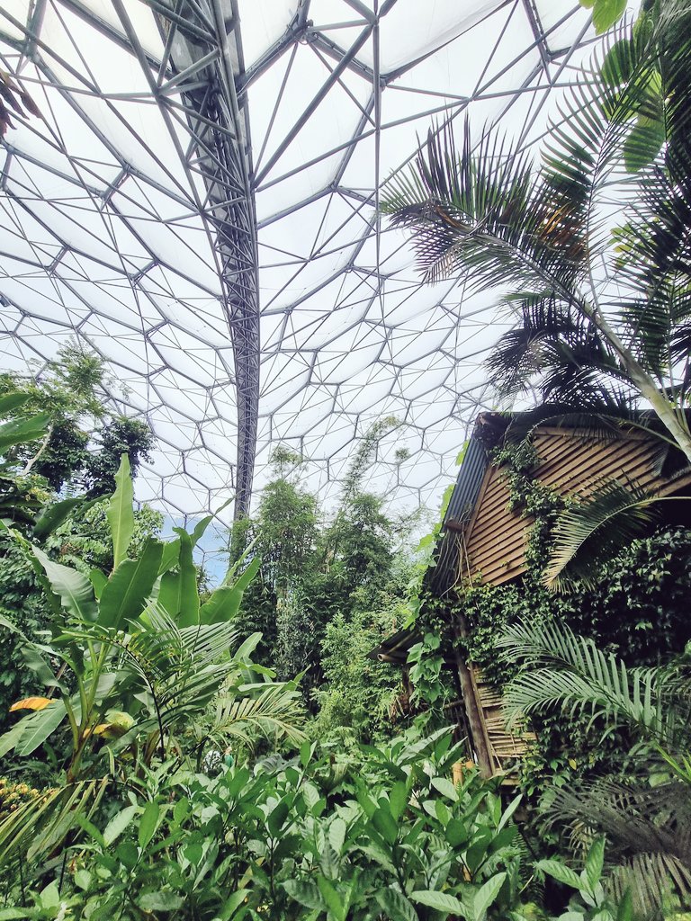 FrancescaLWhite's tweet photo. Eden Adventurin' #dailydoseofcute #edenphotocomp #edenproject https://t.co/ClFuDUXQ2V
