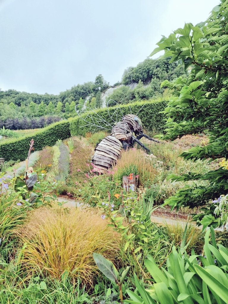 FrancescaLWhite's tweet photo. Eden Adventurin' #dailydoseofcute #edenphotocomp #edenproject https://t.co/ClFuDUXQ2V