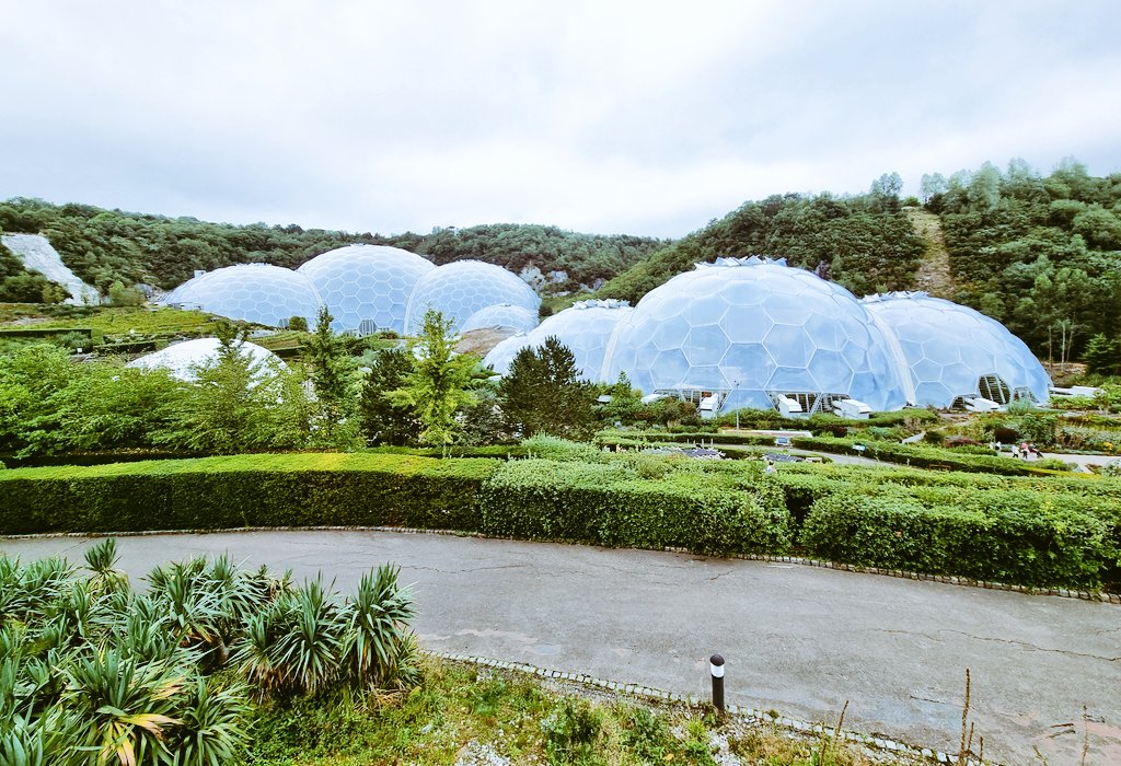 FrancescaLWhite's tweet photo. Eden Adventurin' #dailydoseofcute #edenphotocomp #edenproject https://t.co/ClFuDUXQ2V