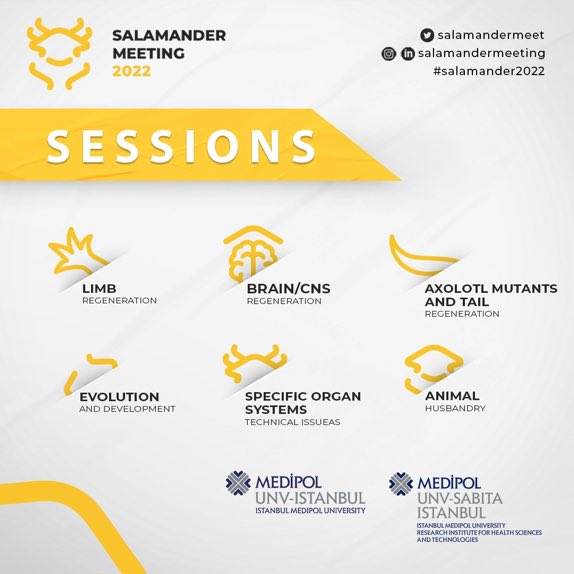 DrustunRamazan's tweet photo. #Salamander2022, with the central theme of #brain and #regeneration, was excellent. Discoveries and conversations of the scientists were fantastic. 

Congratulations and thanks. 
@medipolunv 
@salamandermeet
@medipol_sabita
@drgozturk https://t.co/AfvDPRrKNc