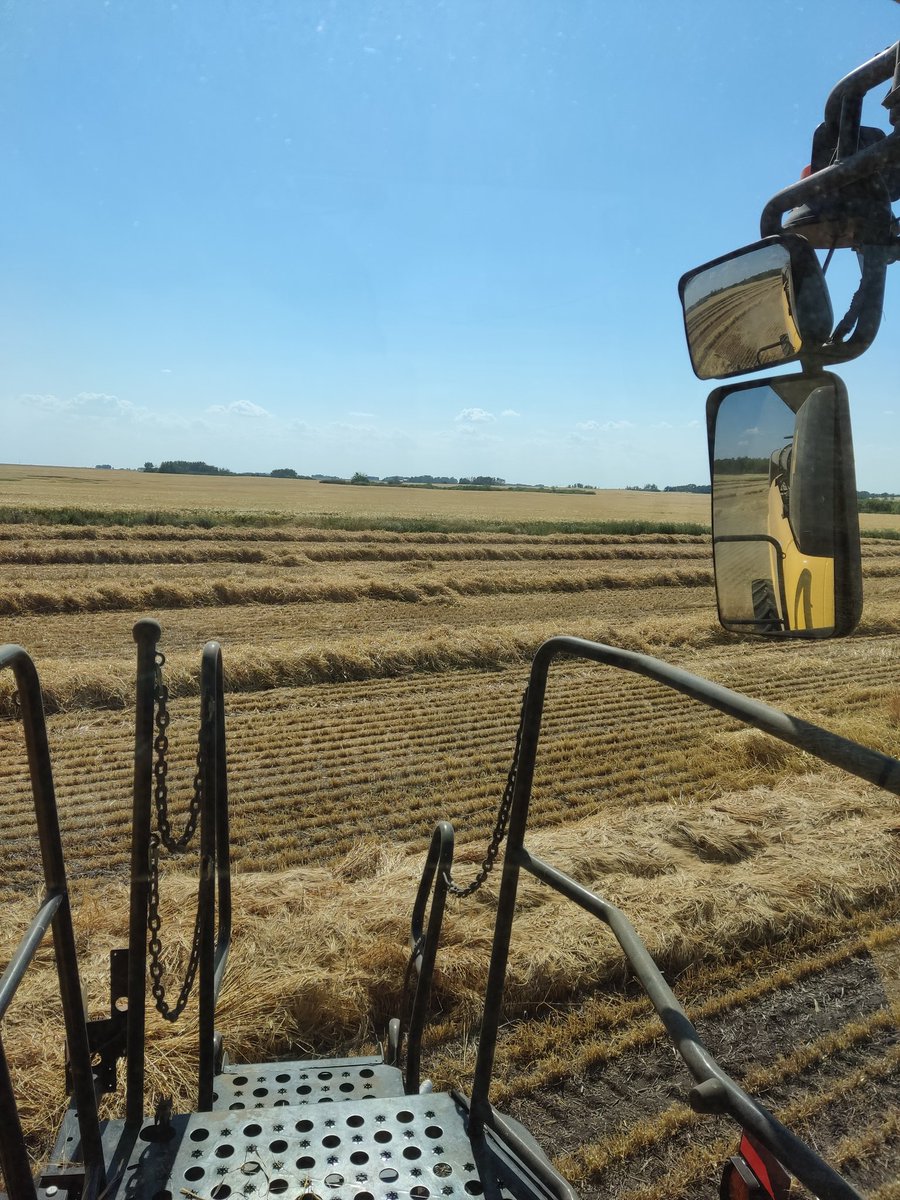 MichealWpf's tweet photo. Straw for sale. In the swath or baled. Please DM for details. https://t.co/IzOVBNEsGl