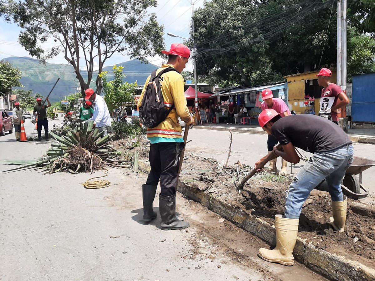 BrullerbyPSUV's tweet photo. #24Agosto || Cuadrillas de Mantenimiento y Limpieza Desplegadas en la Avenida 2 de la Parroquia Caña de Azúcar. 

Trabajamos para embellecer el ornato en #MBI, ya verán como vamos a dejar nuestra avenida, para todas y todos. 

@NicolasMaduro 
@Soykarinacarpio https://t.co/1ce2KtDfZW