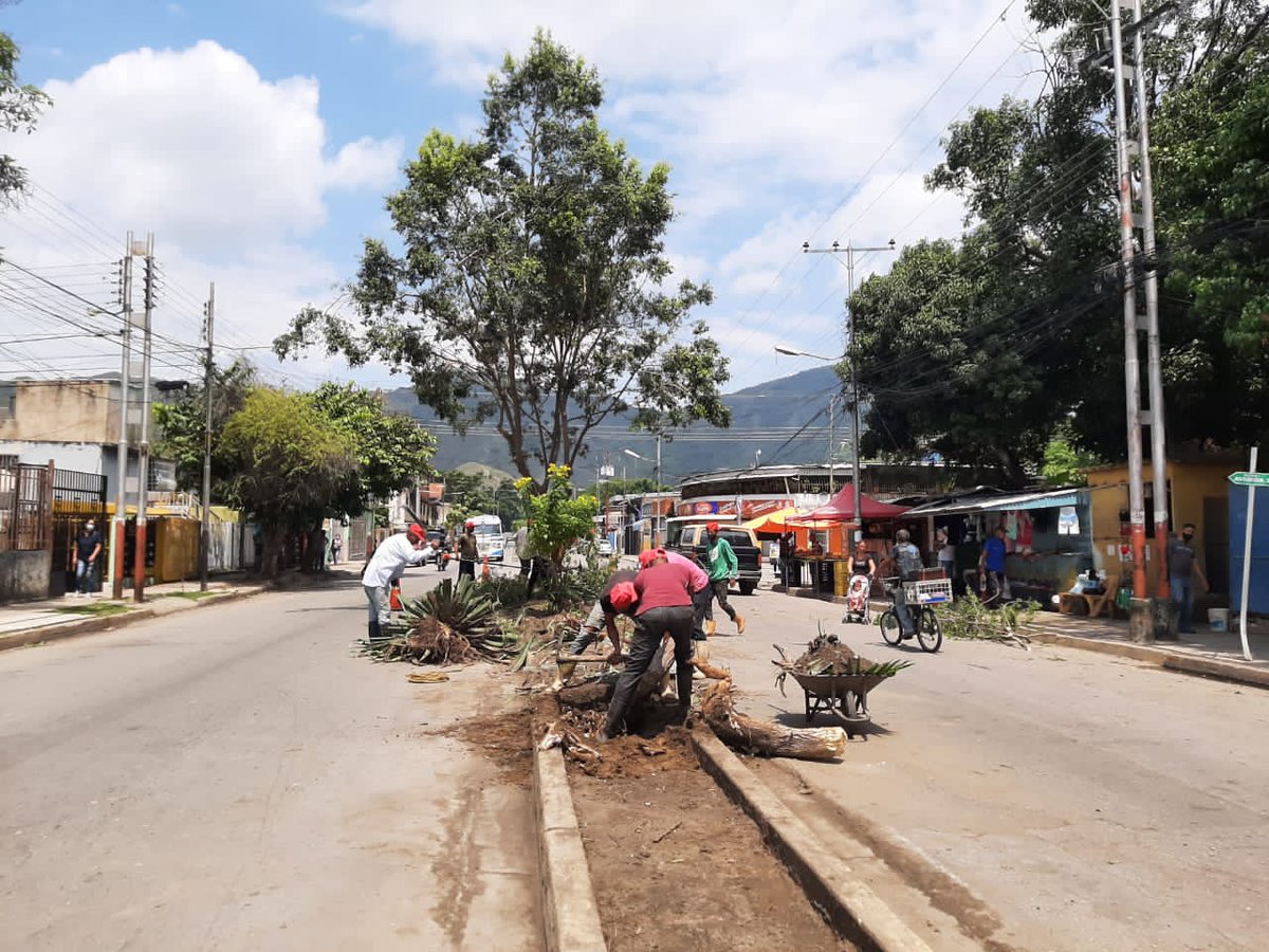 BrullerbyPSUV's tweet photo. #24Agosto || Cuadrillas de Mantenimiento y Limpieza Desplegadas en la Avenida 2 de la Parroquia Caña de Azúcar. 

Trabajamos para embellecer el ornato en #MBI, ya verán como vamos a dejar nuestra avenida, para todas y todos. 

@NicolasMaduro 
@Soykarinacarpio https://t.co/1ce2KtDfZW